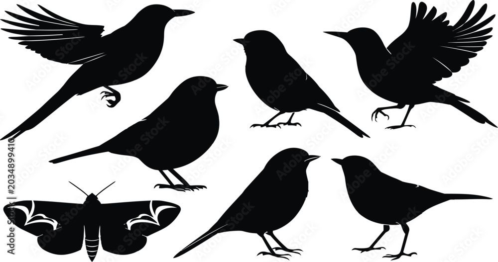 Fototapeta premium Silhouette collection of various birds and butterfly with wildlife