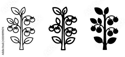 Slika na platnu Tomato Plant Icons, Simple Line Art and Silhouette Vector Graphics for Organic F