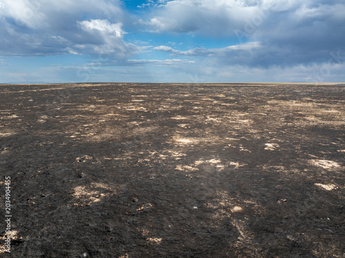 Vast open field lies charred from fire