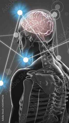 Vertical video: Camera rotating around translucent model, nodes pulsing, tracing brain-neck links