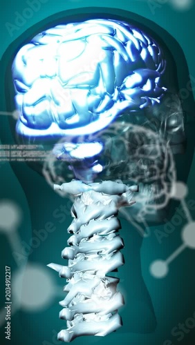 Vertical video: Code flowing holo rising brain glowing spine tilting skull focusing for diagnosis