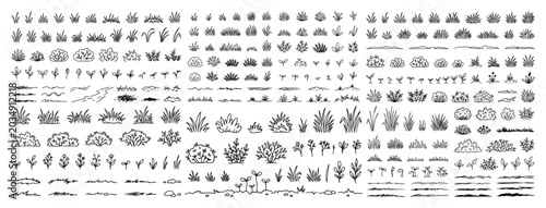 Φωτογραφία Large collection of vegetation and landscaping elements including grass and shru