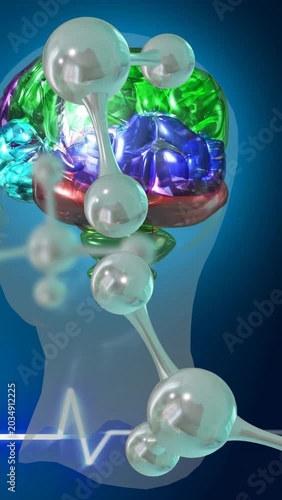 Vertical video: Molecules entering frame colored brain rotating in head, ECG pulsing, showing lobes