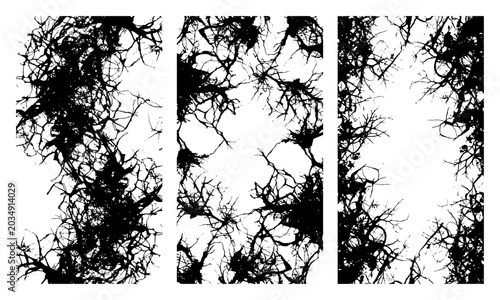 Bild auf Leinwand Dense tangled branches and thicket patterns in a dark gothic silhouette style