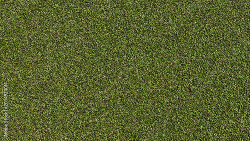 Obraz na płótnie Top-down view of dense green Lemna minor duckweed covering water surface