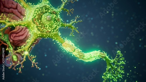 Conceptual 3D animation of the brain generating dopamine molecules in the pituitary gland