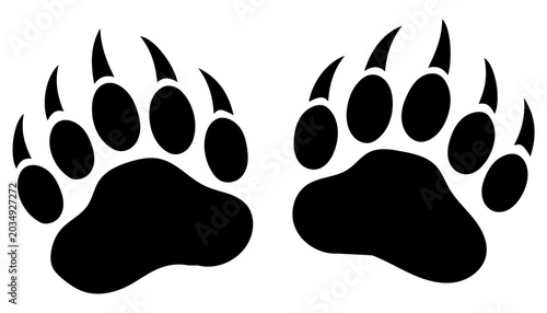 Photos Bear paw prints with claws black bear brown bear wildlife footprint evidence pre