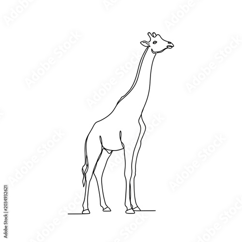 Minimalist single line drawing of a giraffe standing tall.