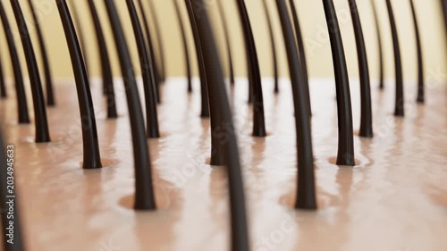 Macro 3D animation of golden serum penetrating scalp and coating hair strands. Visualizes follicle nourishment, smoother texture and thicker healthy hair in cosmetic hair care concept.