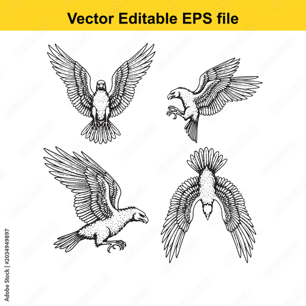 Obraz premium four black and white eagle illustrations in different flying poses vector