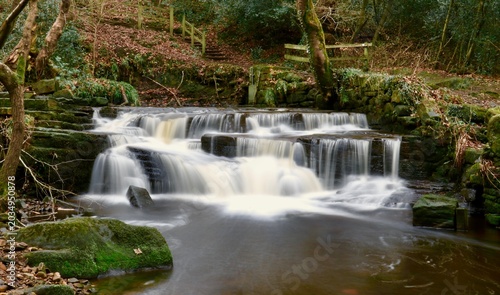 Tranquil Forest Cascade Waterfall in Woodland Stream