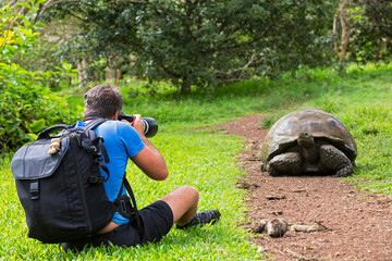 Ecuador, Galapagos Islands, Santa Cruz, man photographing Galapagos giant tortoise