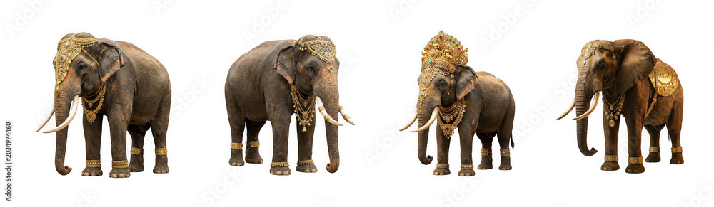 Fototapeta premium Ornate african elephant with decorative gold floral patterns and large isolated on transparent background