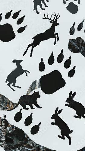 Animal Tracks Silhouettes