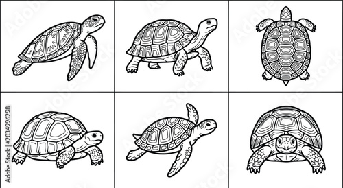 Obraz na plátně Black and white illustration of various turtle poses and views