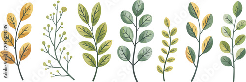 Obraz na plátne Green and yellow leaf branch set, botanical foliage vector illustration collecti