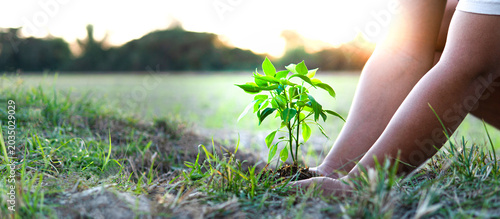 Foto The hands planting saplings in the spring illustrate community volunteering, reforestation, and sustainable, environmentally friendly living
