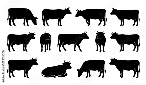 Canvas Print Cow silhouettes collection with grazing standing and walking cattle poses isolat