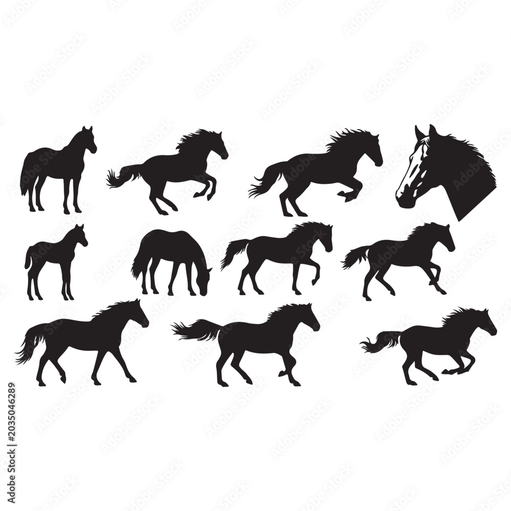 Obraz premium Black Horse Silhouettes, Vector Horses, Equine Icons, 10 Silhouette Set