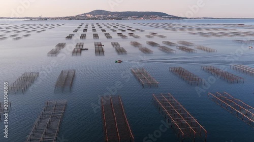 Oyster boat at sunrise on the Thau lagoon, Occitanie, France
