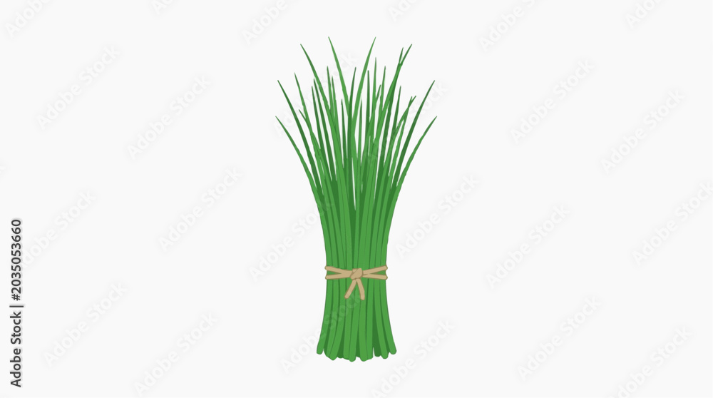 Obraz premium Bunch of fresh green chives tied with twine on a white background