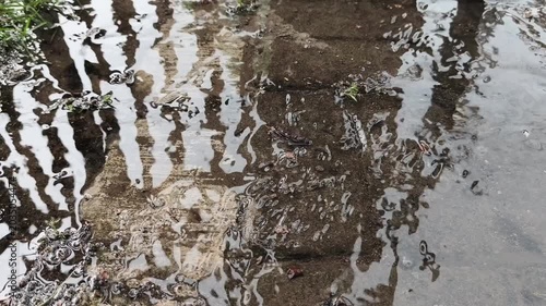 water splash in the water