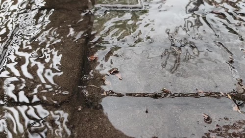 water splash in the water