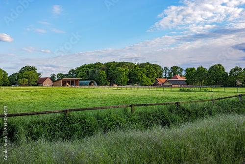 rural landscape with farm