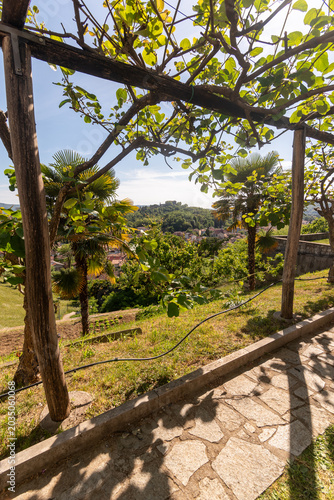 Panorama delle verdi vallate slovene viste dall'alto del monastero di Kostanjevica  in primavera 