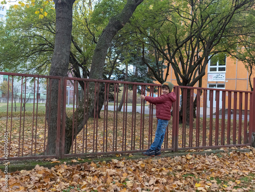 Happy Little Boy Leaning on Metal Fence in Autumn Park