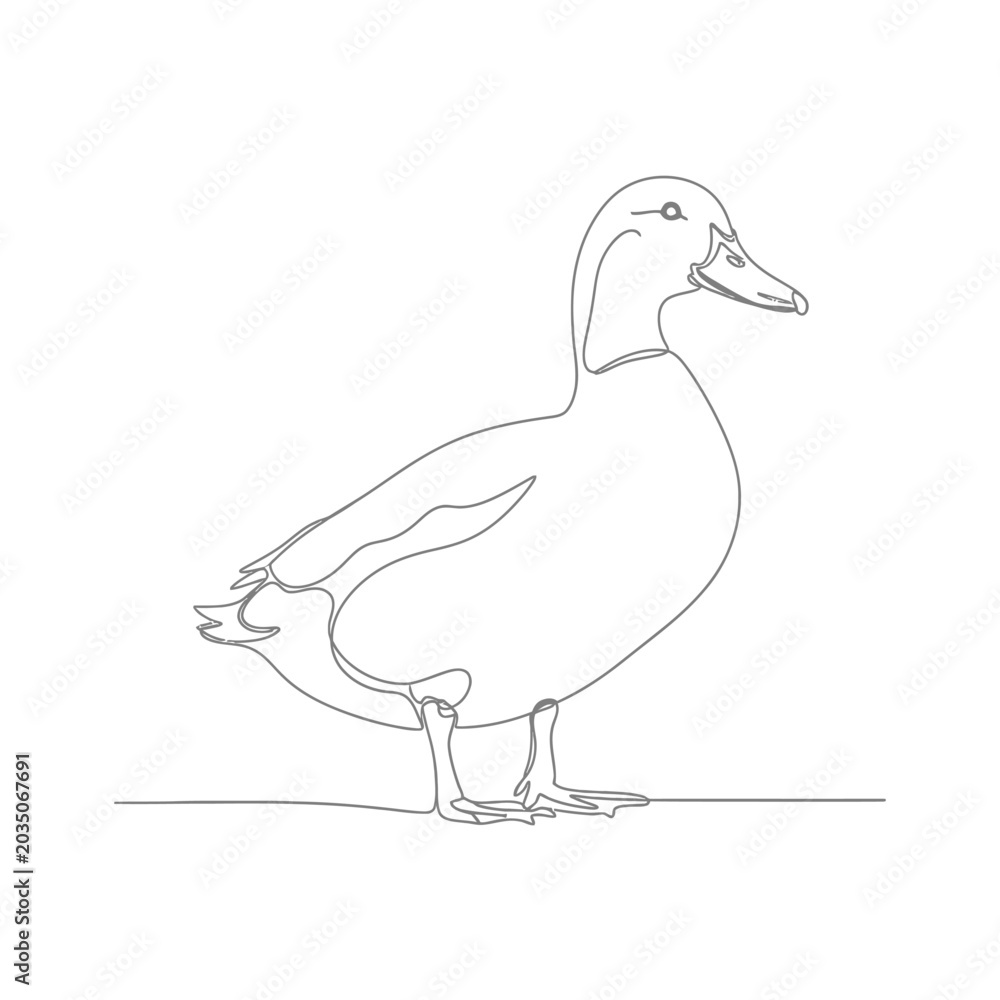 Fototapeta premium Continuous Line Art of a Duck on White Background