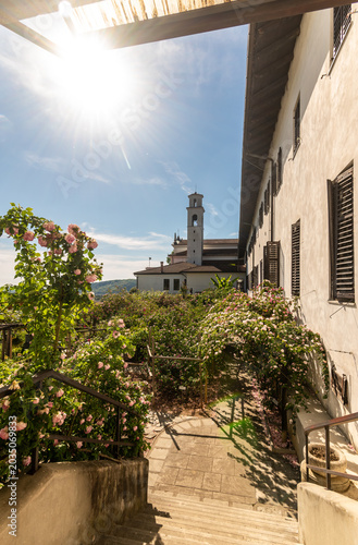 Monastero francescano sloveno di Kostanjevica o Castagnevizza con il suo roseto di rose Bourbon in una giornata soleggiata di primavera 