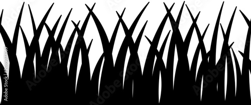 Foto Grass