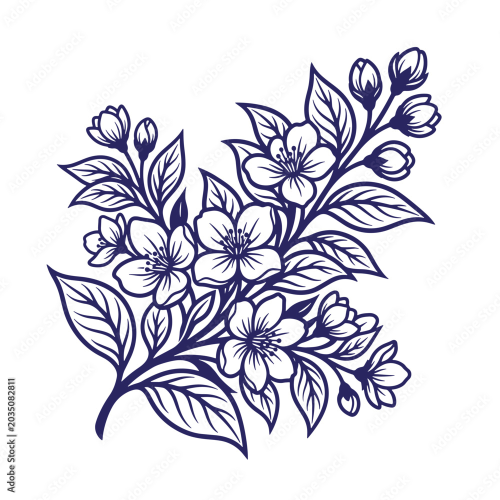 Fototapeta premium Vintage hand drawn botanical sketch of a jasmine branch with blooming flowers and buds line art white background old fashioned illustration botanical engraved
