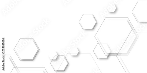 Photography Abstract 3D rendering of a textured surface composed of numerous white hexagons