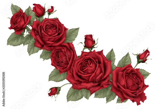  red roses and green leaves against a transparent background. 