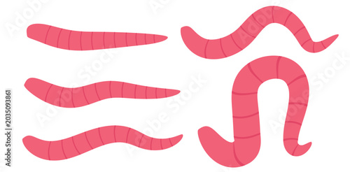 Bild auf Leinwand Collection of pink cartoon earthworms in various wavy poses with fishing bait wh