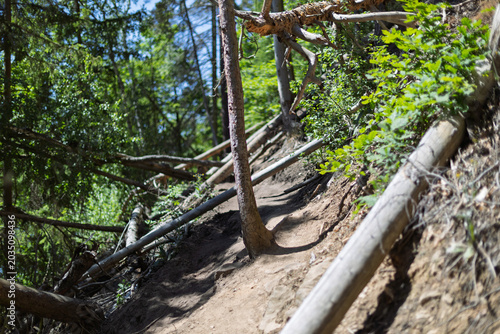 Foto steep and challenging hiking trail through a dense forest with fallen trees