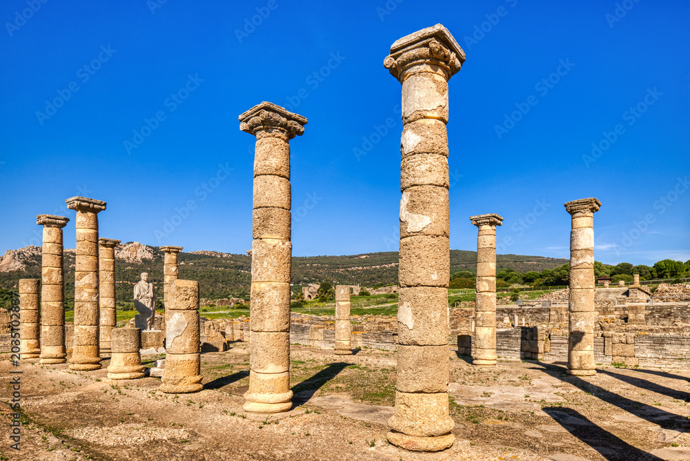 Fototapeta premium Ancient Baelo Claudia Archaeological Site near Cadiz in Andalusia