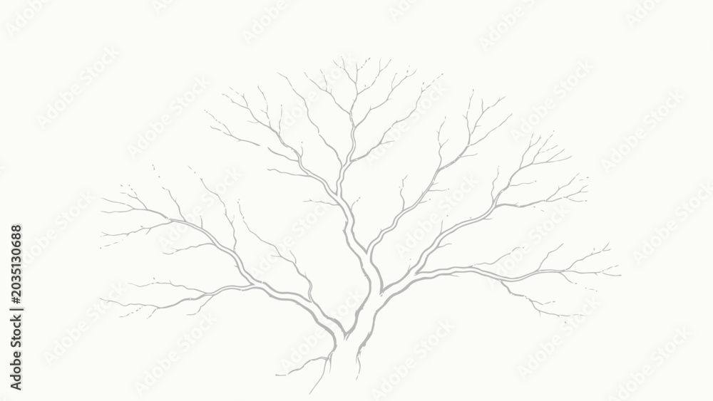 Fototapeta premium Minimalist Monochrome Pencil Sketch of a Leafless Bare Tree with Symmetrical Rounded Canopy and Delicate Fine Branching on Soft Off-White Background