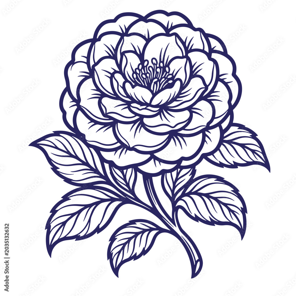 Fototapeta premium Detailed line art illustration of a single ornate camellia flower with a large bloom and stylized leaves hand-drawn vector botanical element white background blue line