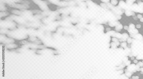 Abstract gobo leaf shadow overlay on transparent background. Soft blurred foliage silhouette with organic botanical texture. Backdrop with dappled light and plant shade pattern.
