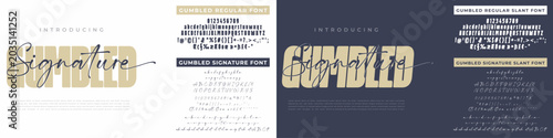 Bold typeface Script or Signature and Serif font vector with font family