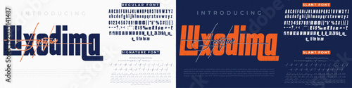 Bold typeface Script or Signature and Serif font vector with font family