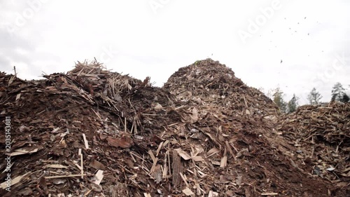 Landfill. Wood processing. Recycling. Ecology. Large mountains of bulk wood biomass. Wood recycling and processing.