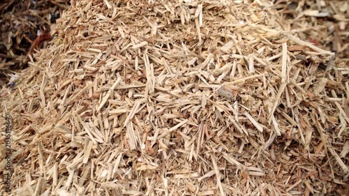 Landfill. Wood processing. Recycling. Ecology. Large mountains of bulk wood biomass. Wood recycling and processing.