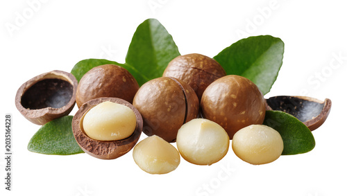 Cuadro en lienzo Whole and shelled macadamia nuts with green leaves, isolated on transparent back