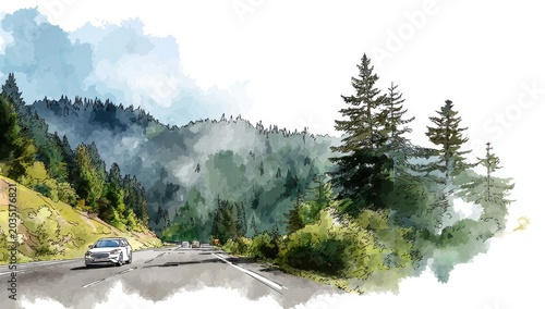 A scenic mountain road winds through misty evergreen forests with a car driving
