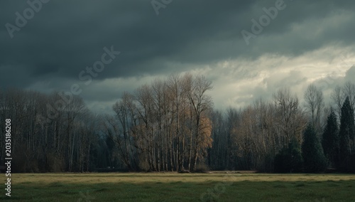 Dramatic Stormy Sky Over Bare Trees and Field.