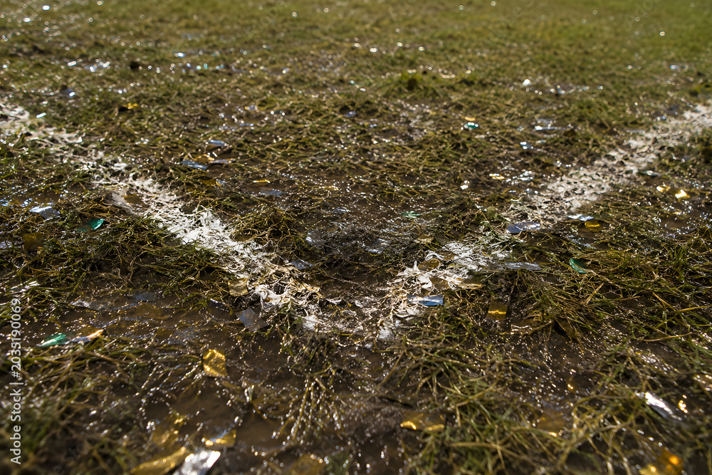 Fototapeta premium Mud and Glory on the Football Field After the Final Celebration